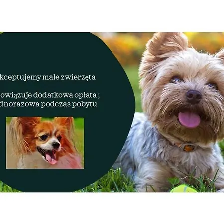 Nadmorski Klif ميكلينكي