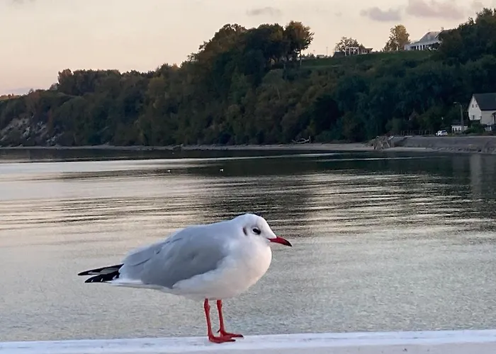 Lägenhet Nadmorski Klif Mechelinki