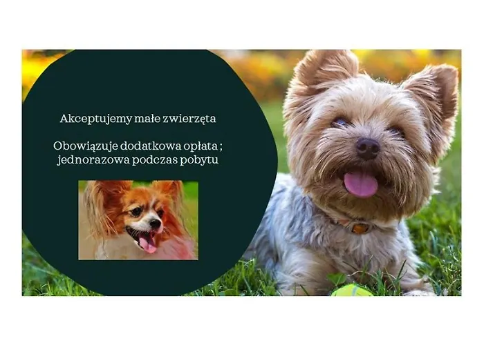 Nadmorski Klif Mechelinki